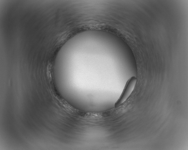 X0000056350768200509091556