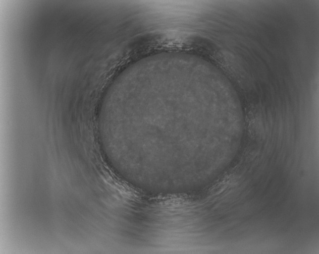 X0000056350769200509091555