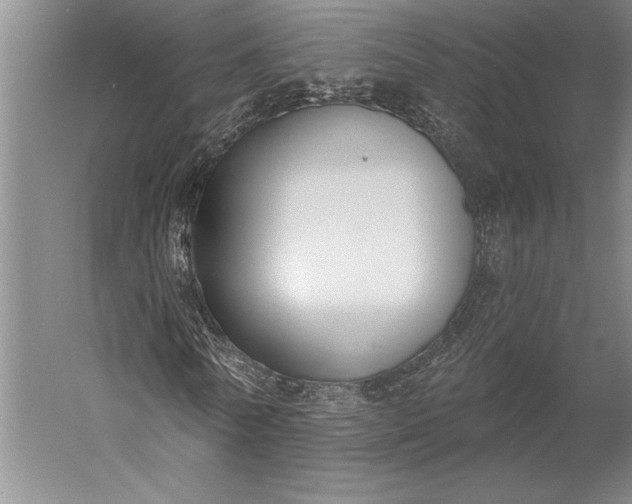 X0000056350770200509091555