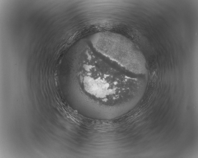 X0000056350772200509091555