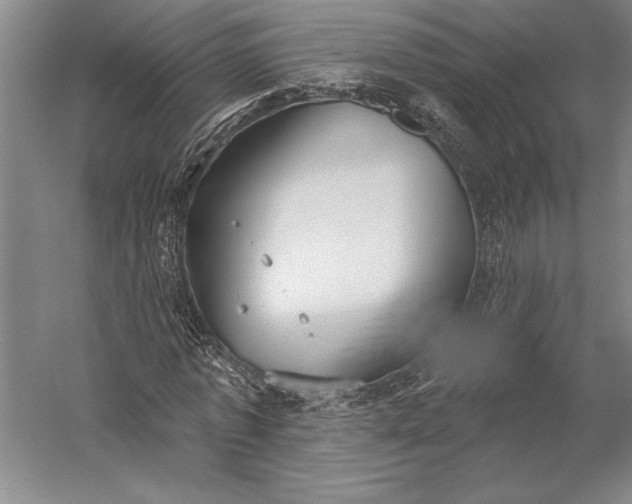 X0000056350773200509091555