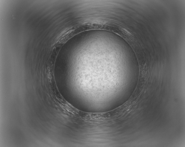 X0000056350774200509091555