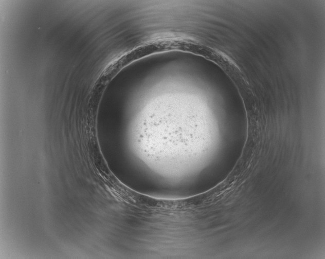 X0000056350775200509091555