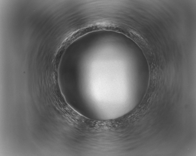 X0000056350776200509091555