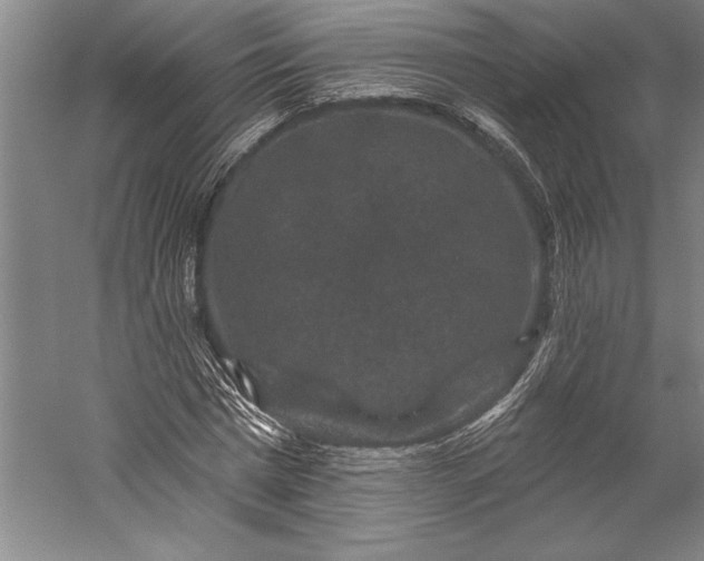 X0000056350777200509091555