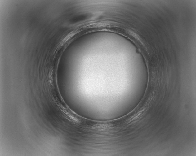 X0000056350778200509091555