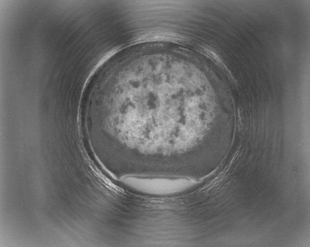 X0000056350780200509091555