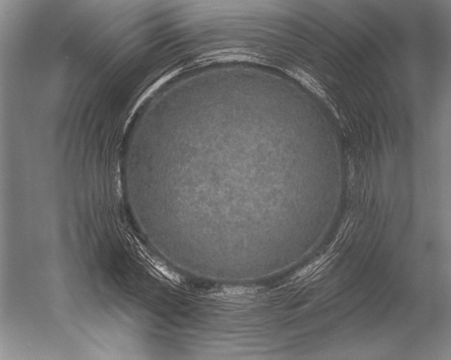 X0000056350782200509091555