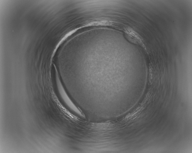 X0000056350784200509091555