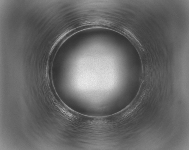 X0000056350788200509091555