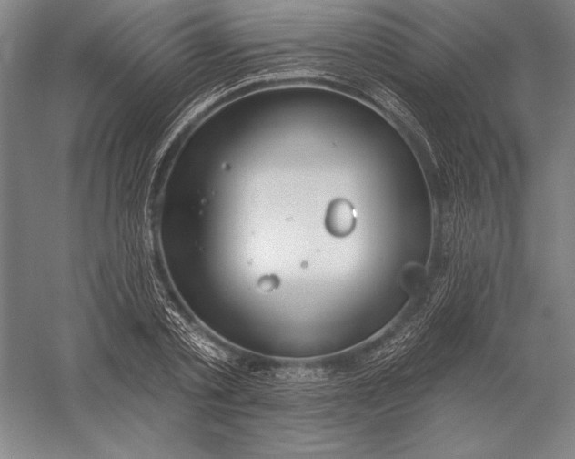 X0000056350789200509091555