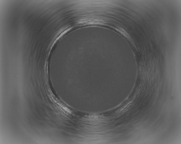 X0000056350790200509091555