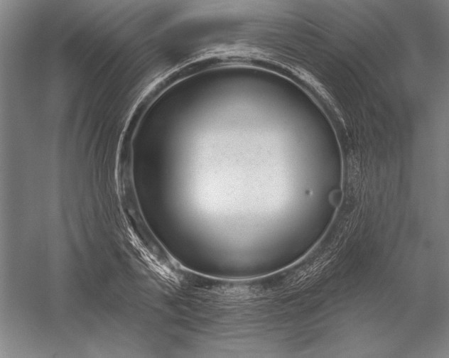 X0000056350791200509091555