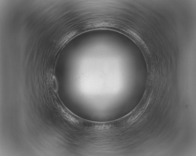 X0000056350793200509091555