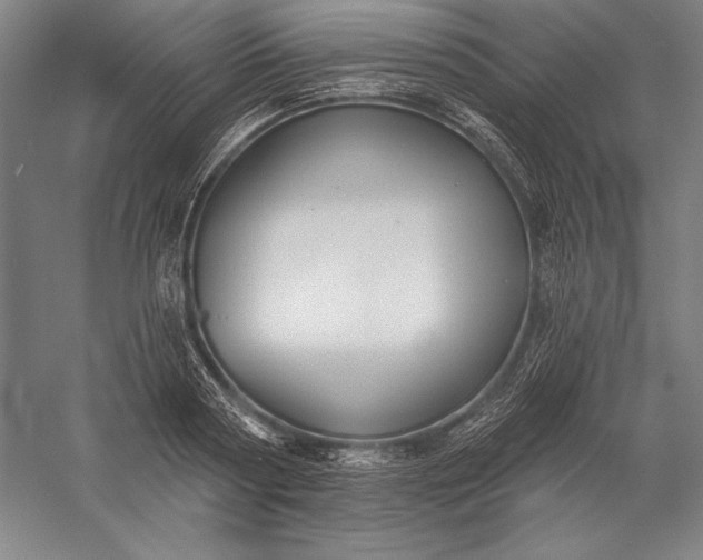 X0000056350794200509091555