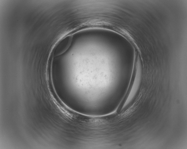 X0000056350795200509091555