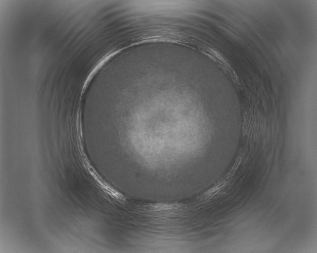 X0000056350796200509091555