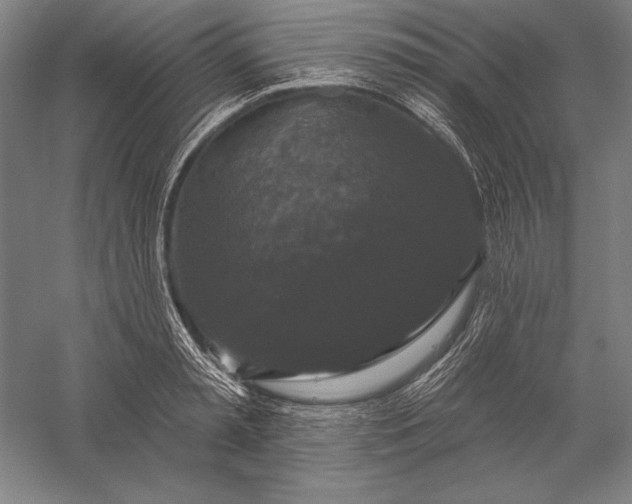 X0000056350797200509091555