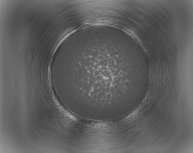 X0000056350798200509091555