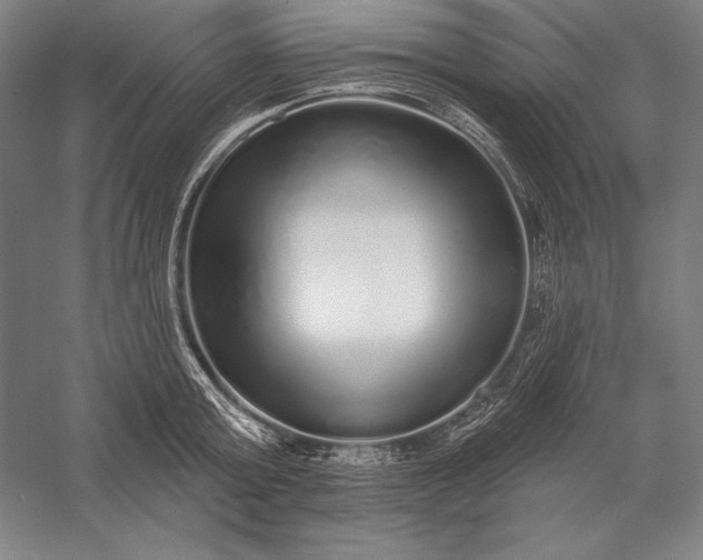 X0000056350803200509091555