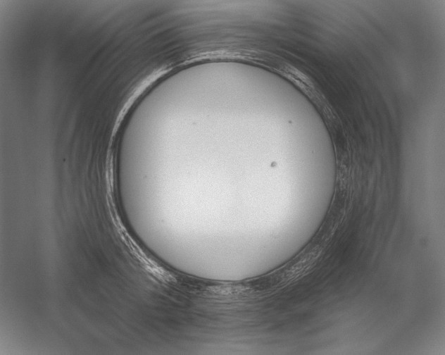 X0000056350804200509091555