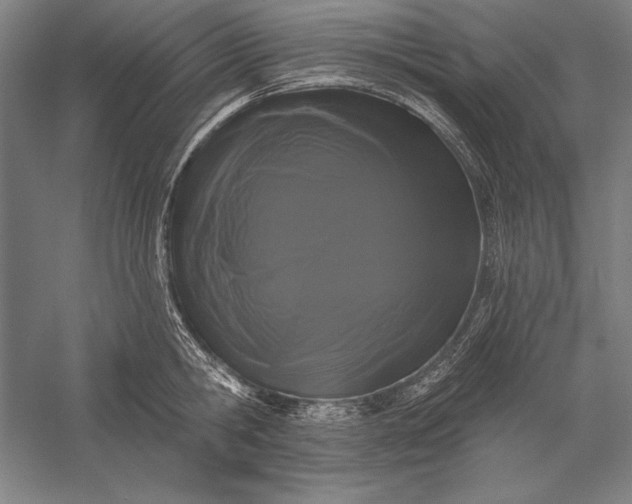 X0000056350806200509091555