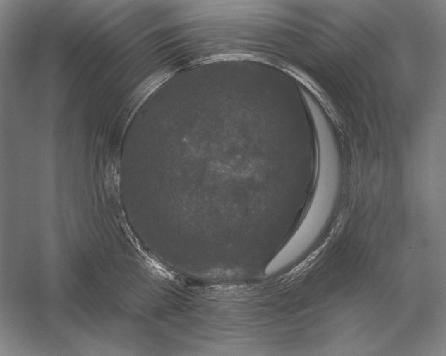 X0000056350809200509091555