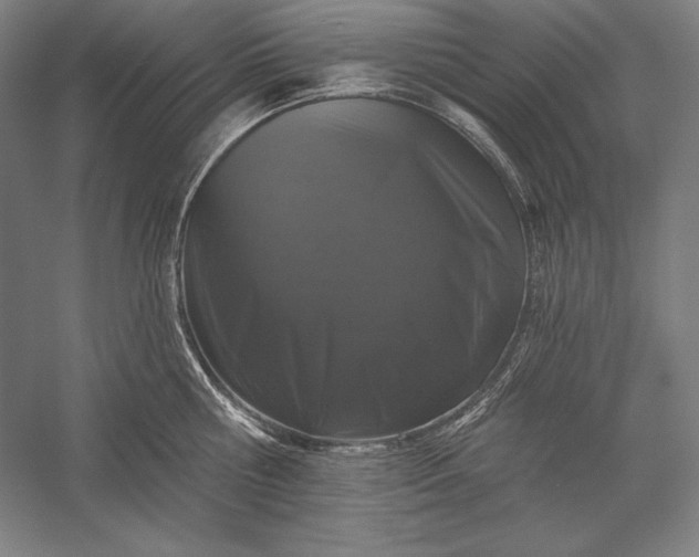 X0000056350810200509091555