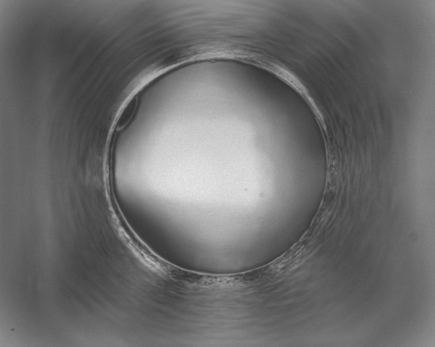 X0000056350811200509091555