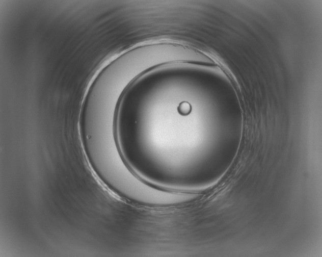 X0000056350813200509091555