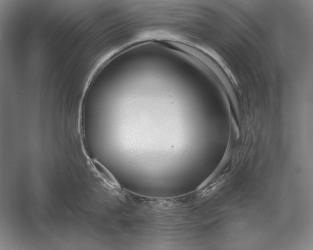 X0000056350815200509091554