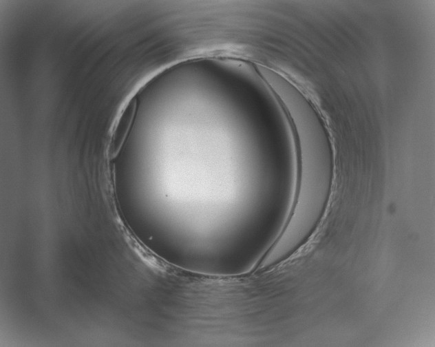 X0000056350816200509091554