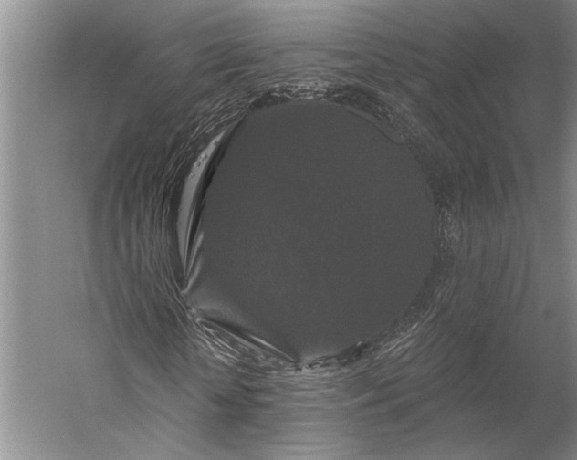 X0000056350818200509091554