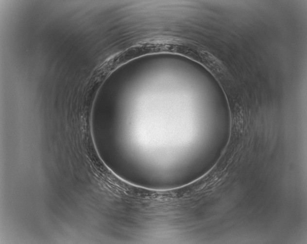 X0000056350821200509091554