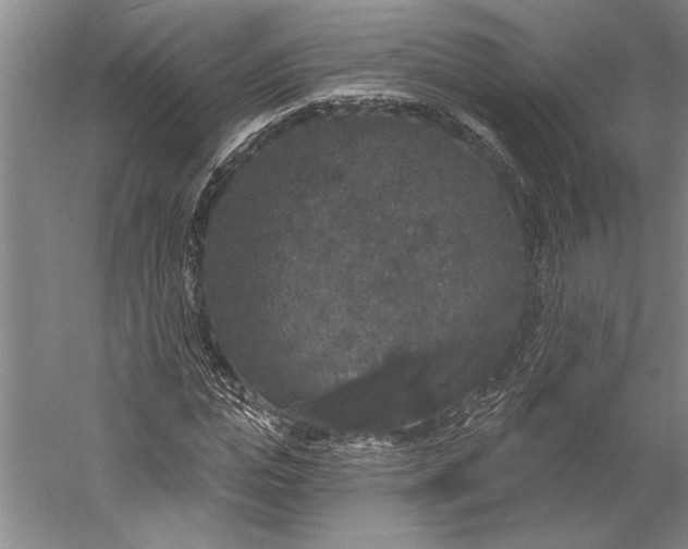 X0000056350823200509091554