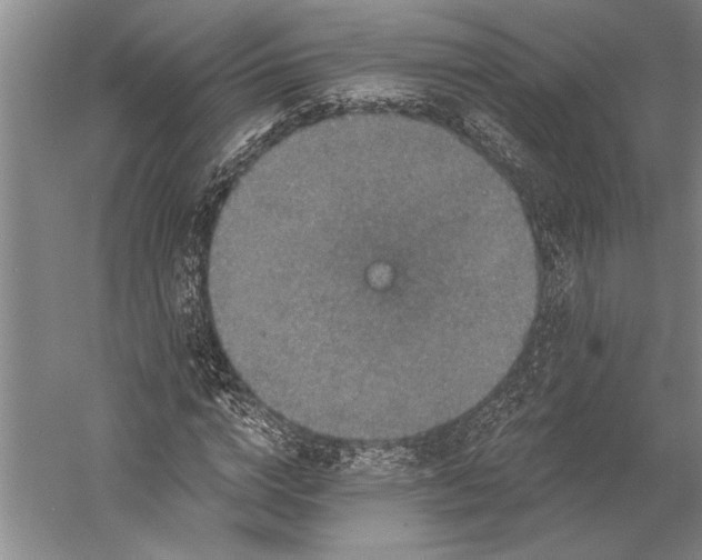 X0000056350824200509091554