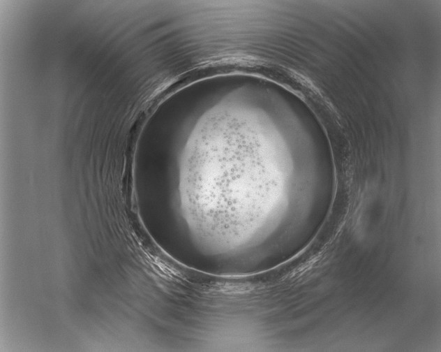 X0000056350825200509091554