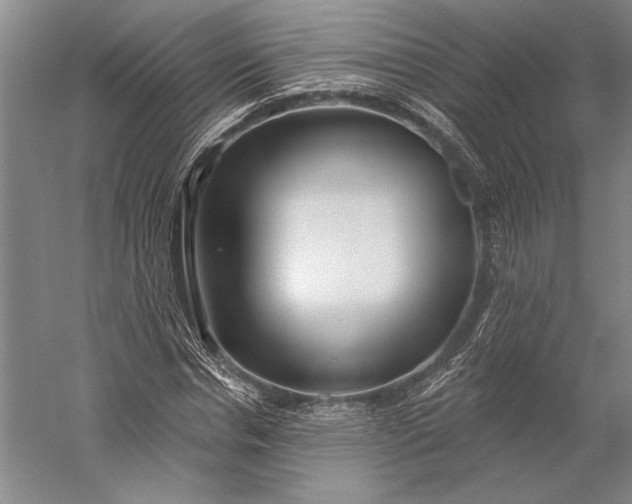 X0000056350826200509091554