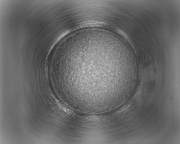 X0000056350827200509091554