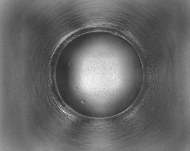 X0000056350830200509091554