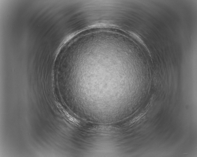 X0000056350831200509091554