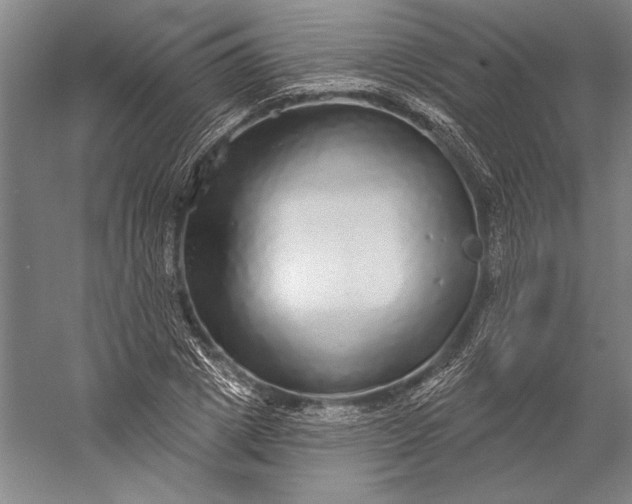 X0000056350833200509091554