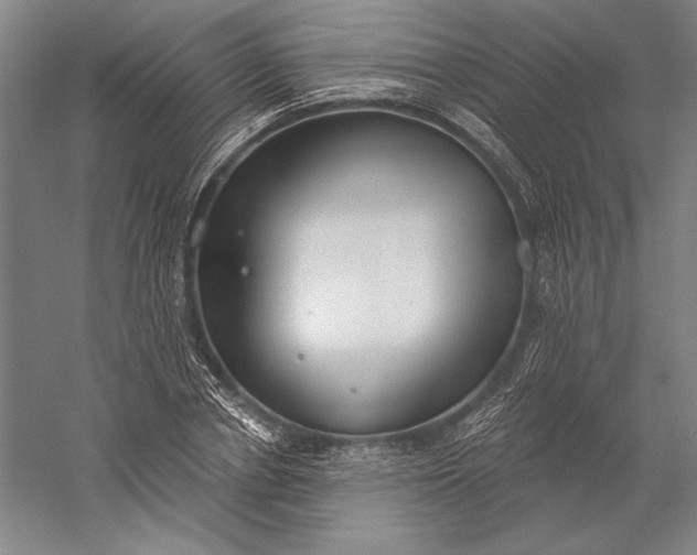 X0000056350834200509091554