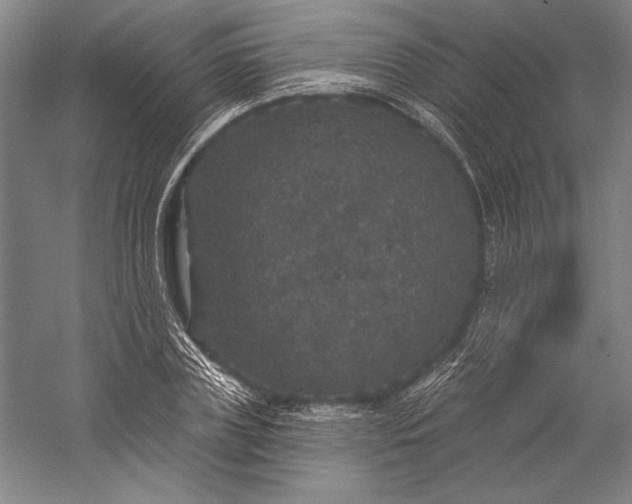 X0000056350835200509091554