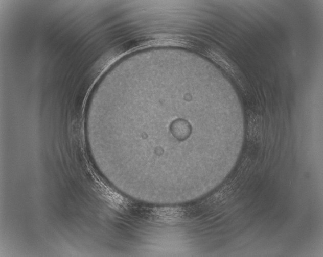 X0000056350836200509091554