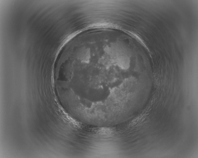 X0000056350839200509091554