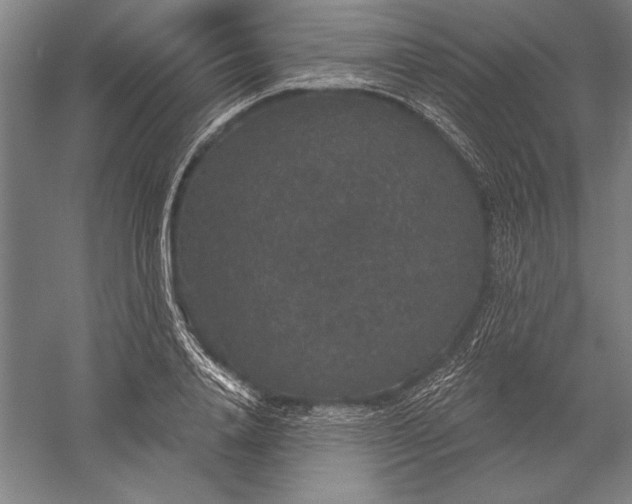 X0000056350840200509091554