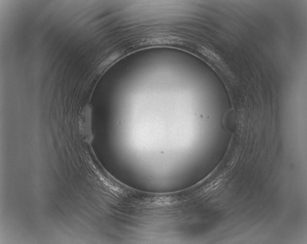 X0000056350841200509091554