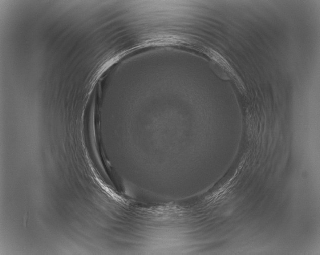 X0000056350842200509091554