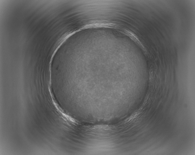 X0000056350844200509091554